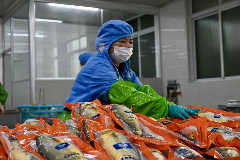保定熟食行业的最新发展动态